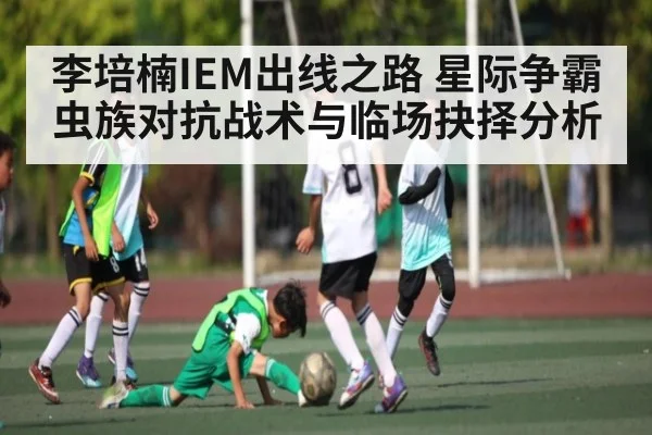 李培楠IEM出线之路 星际争霸虫族对抗战术与临场抉择分析