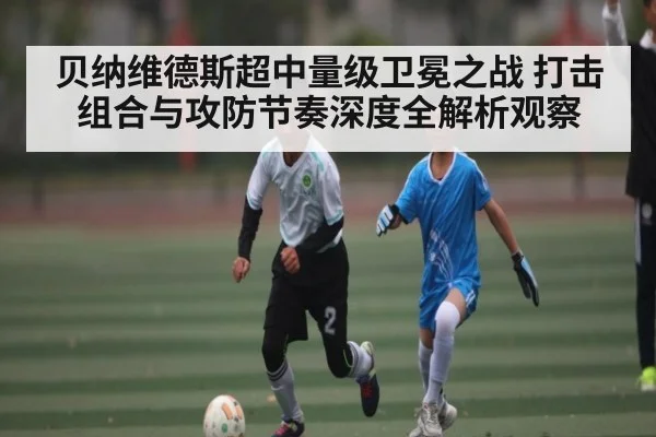 贝纳维德斯超中量级卫冕之战 打击组合与攻防节奏深度全解析观察